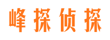 蜀山外遇调查取证